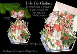 Looks Like Christmas 3d Terrarium Cards & Envelopes Kit