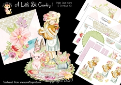 A Little Bit Country 1 Triple Easel Card Mini Kit