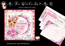 More Than Words Can Say 18 Card Front and Inserts Kit