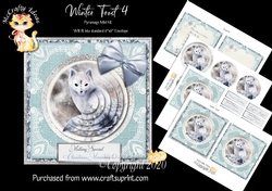 Winter Frost 4 5.5 x5.5 Pyramage Card front and Inserts Mini Kit