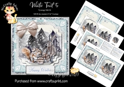 Winter Frost 5 5.5 x5.5 Pyramage Card front and Inserts Mini Kit