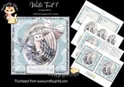 Winter Frost 7 5.5 x5.5 Pyramage Card front and Inserts Mini Kit