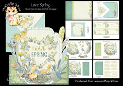 Love Spring Shaped Card and Envelope Kit.
