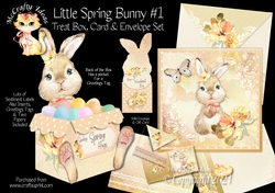 Little Spring Bunny #1 Treat Box, Card & Envelope Kit