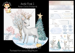 Arctic Frost 1 Rocker Card Mini Kit