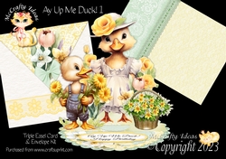 Ay Up Me Duck 1 Triple Easel