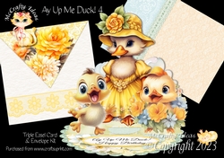 Ay Up Me Duck 4 Triple Easel
