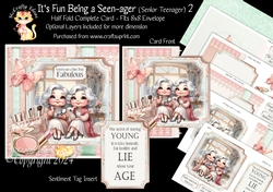 Its Fun being a Seen-Ager ( Senior Teenager) 2