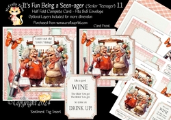 Its Fun being a Seen-Ager ( Senior Teenager) 11
