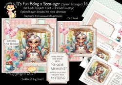 Its Fun being a Seen-Ager ( Senior Teenager) 16