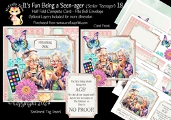 Its Fun being a Seen-Ager ( Senior Teenager) 18