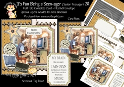 Its Fun being a Seen-Ager ( Senior Teenager) 20