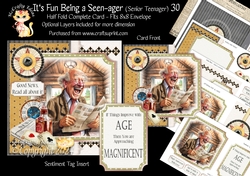 Its Fun being a Seen-Ager ( Senior Teenager) 30