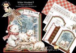 Winter Woodland 9