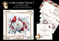 A Little Cardinal Told Me 3