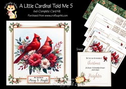 A Little Cardinal Told Me 5
