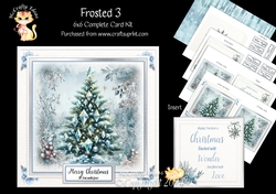 Frosted 3