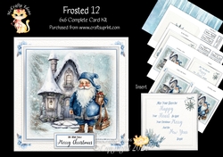 Frosted 12