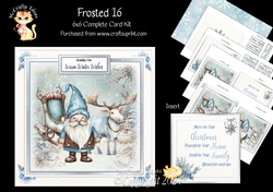 Frosted 16