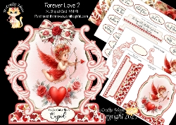 Forever Love 2