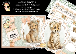 Animal Magic 4