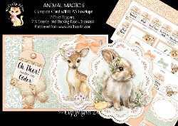 Animal Magic 6