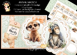 Animal Magic 8