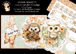 Animal Magic 11