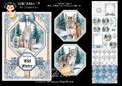 Wild Winter 19