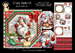 Crazy Santa 14