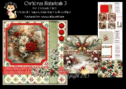 Christmas Botanicals 3 6x6