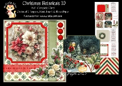 Christmas Botanicals 10 6x6