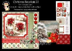 Christmas Botanicals 11 6x6