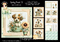 Spring Fresh 11 6x6