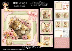 Hello Spring 8 6x6