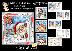 Peek a Boo Christmas 4 6x6