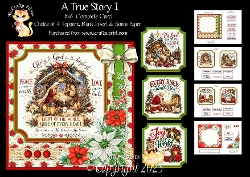 A True Story 1 6x6