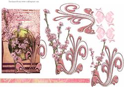Cherry Blossom