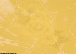 Amber Backing Paper Sheet #3
