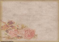 Forever Yours Vintage Rose Paper 4c