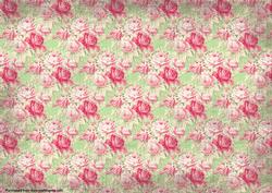 Pink Passion Paper #pp3c