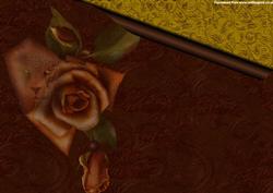 Jag-rose Bp1