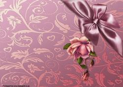 Blush Rose Background Paper