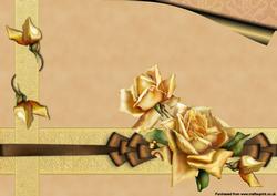 Saffron Rose Background Paper