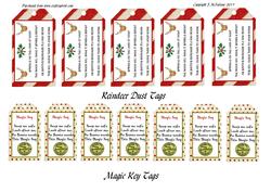 Reindeer Dust & Magic Key Tags