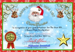 Santas Official Nice Certificate (Large)