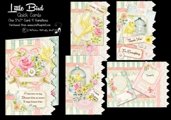 Little Bird Quick Cards