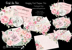 Cest La Vie Hanging Oval Plaques Trio
