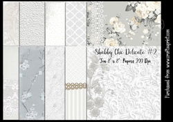 Shabby Chic Delicate #2 Papers 200Dpi