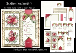 Christmas Sentiments 2 7x7 Card Front & Insert Mini Kit